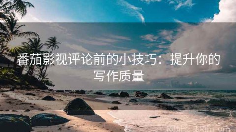 番茄影视评论前的小技巧：提升你的写作质量