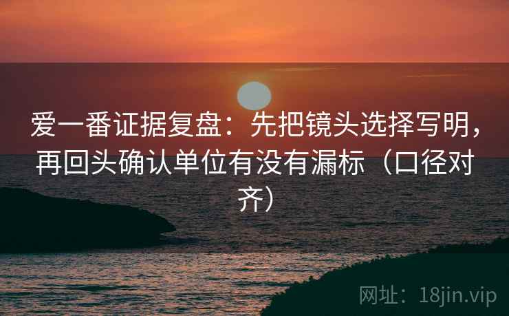 爱一番证据复盘：先把镜头选择写明，再回头确认单位有没有漏标（口径对齐）