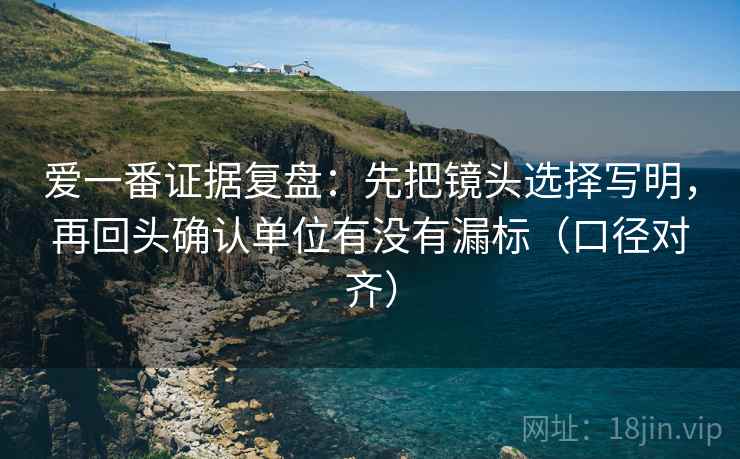 爱一番证据复盘：先把镜头选择写明，再回头确认单位有没有漏标（口径对齐）